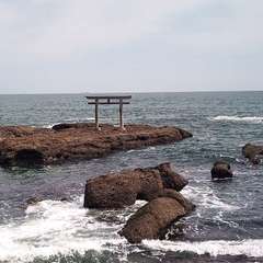 投稿日:2021年4月4日 写真