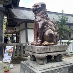 投稿日:2023年8月24日 写真