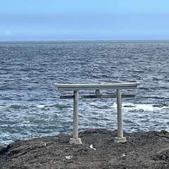 投稿日:2023年8月24日 写真