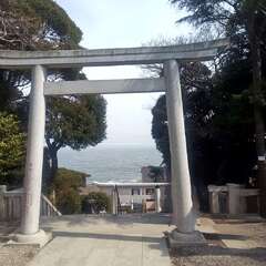 投稿日:2025年4月2日 写真