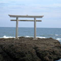 投稿日:2024年7月15日 写真