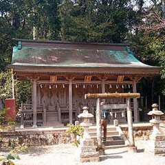 投稿日:2021年4月4日 写真