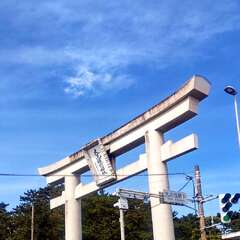 投稿日:2025年4月2日 写真