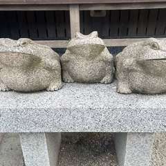 投稿日:2023年8月24日 写真