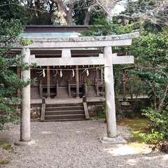 投稿日:2021年4月4日 写真