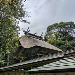 投稿日:2024年10月19日 写真