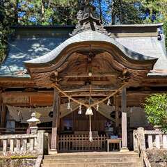近津神社(投稿日:2025年11月24日) 写真