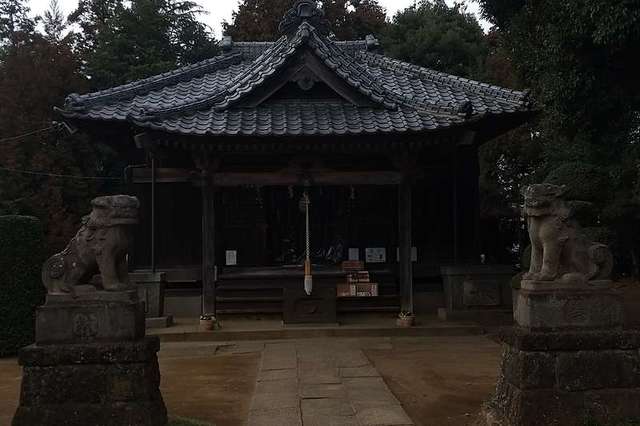 写真