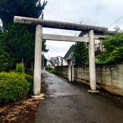 写真