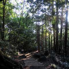 投稿日:2015年10月20日 写真