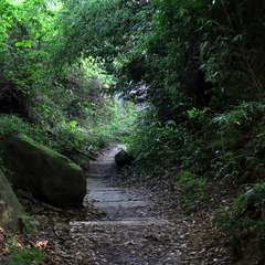 投稿日:2015年10月20日 写真