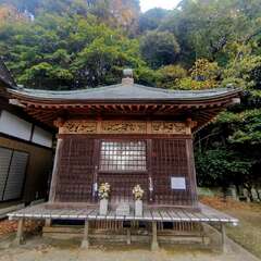 東善寺(投稿日:2025年12月6日) 写真