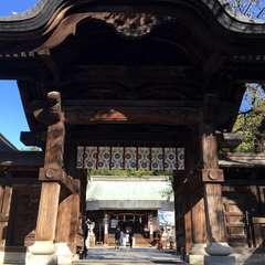 投稿日:2022年5月22日 写真