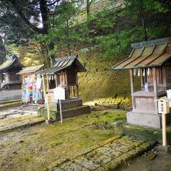 投稿日:2020年12月17日 写真