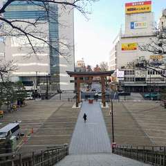 投稿日:2020年12月17日 写真