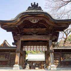 投稿日:2017年4月20日 写真