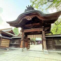 投稿日:2025年8月23日 写真