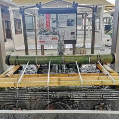 投稿日:2020年12月17日 写真