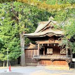 投稿日:2025年8月23日 写真