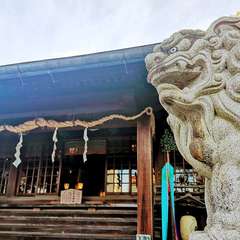 投稿日:2020年12月17日 写真