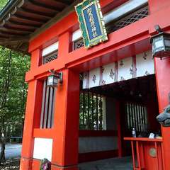 投稿日:2022年5月20日 写真