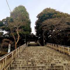 投稿日:2020年12月17日 写真