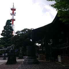 投稿日:2018年6月13日 写真