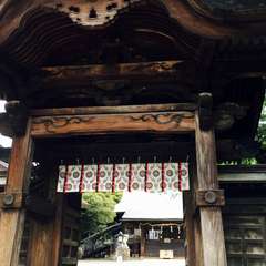 投稿日:2017年6月18日 写真