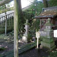 投稿日:2022年5月20日 写真