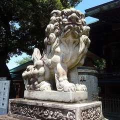 投稿日:2022年5月20日 写真