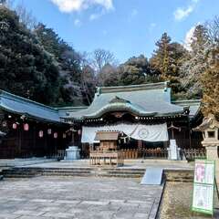 栃木縣護國神社(投稿日:2025年11月3日) 写真