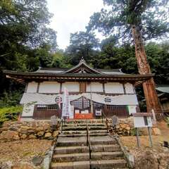 八幡宮(投稿日:2025年10月23日) 写真