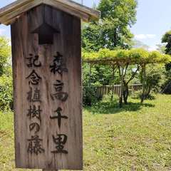 投稿日:2022年5月2日 写真