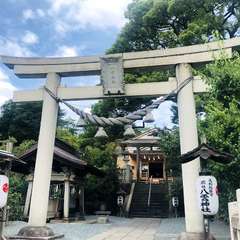 投稿日:2019年8月13日 写真