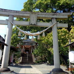 投稿日:2025年10月19日 写真