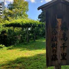 投稿日:2023年8月14日 写真