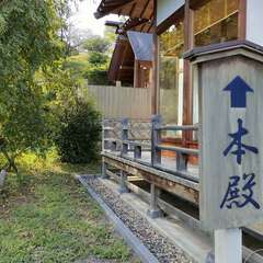 投稿日:2023年8月14日 写真