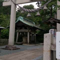 八雲神社鳥居(投稿日:2016年7月5日) 写真