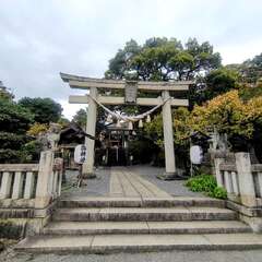 投稿日:2025年10月22日 写真