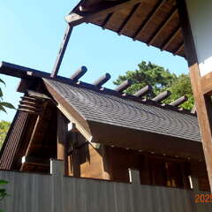 投稿日:2025年10月19日 写真