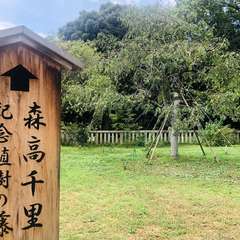 投稿日:2019年8月13日 写真