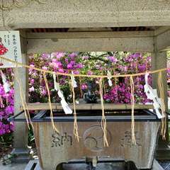 投稿日:2022年5月2日 写真