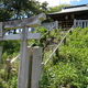 女浅間神社