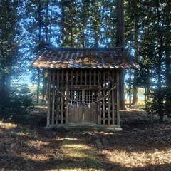 磐裂根裂神社(投稿日:2024年12月24日) 写真