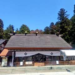 乃木神社(投稿日:2025年11月3日) 写真