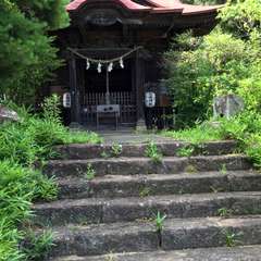 写真
