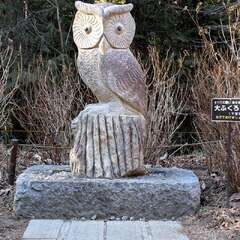 鷲子山上神社(投稿日:2025年12月6日) 写真
