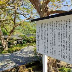 投稿日:2022年5月4日 写真