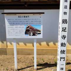 投稿日:2022年5月4日 写真