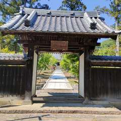 投稿日:2022年5月4日 写真